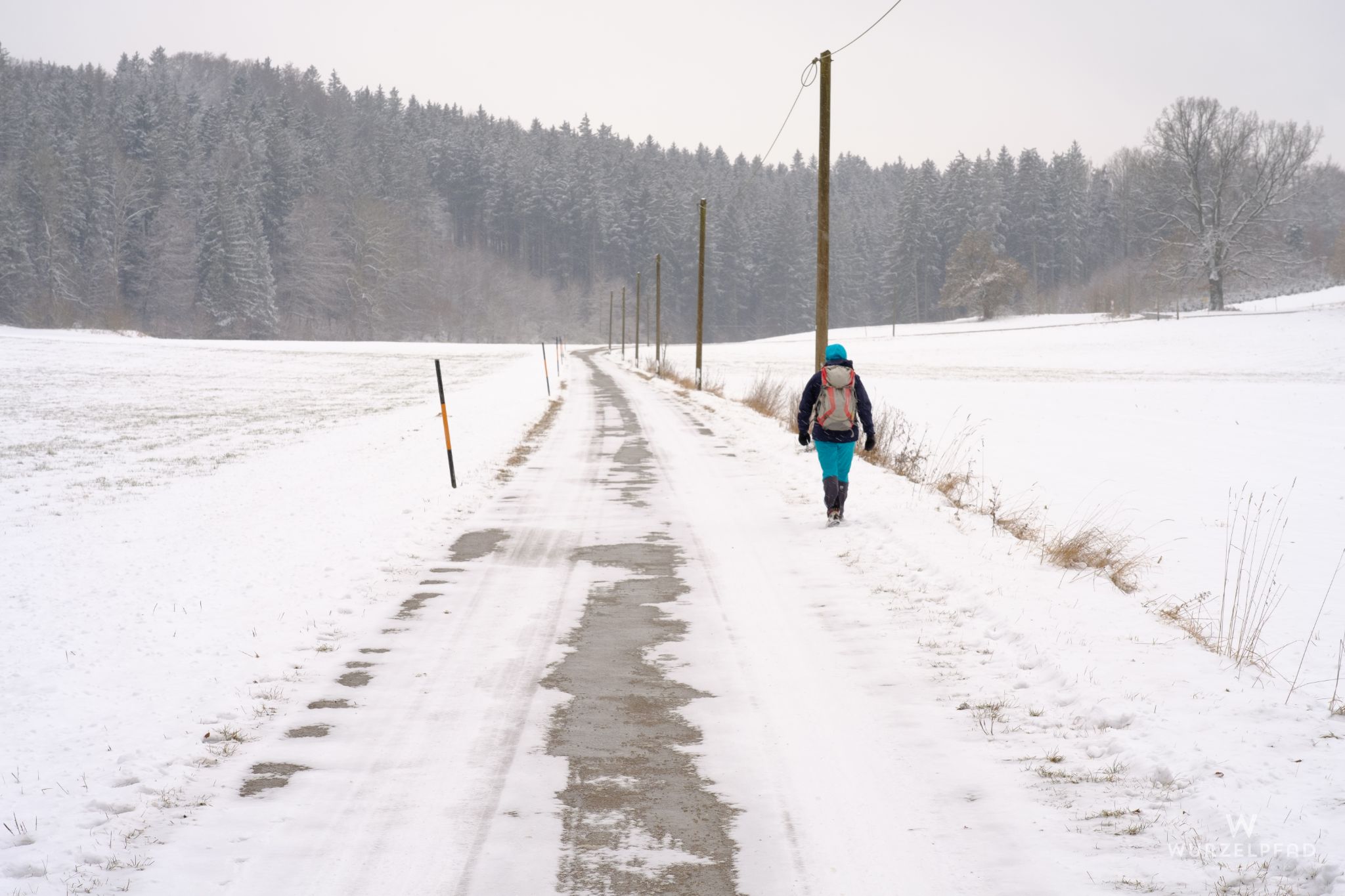 Landstraße, Thalweber, Bayern, Deutschland, 2021